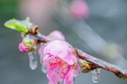赤峰植物園冰粥店電話號碼