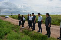 赤峰市牧草銷售電話號(hào)碼查詢