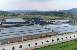 赤峰花菇基地電話多少啊