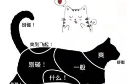 赤峰市送小貓的地方電話號碼