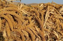 赤峰不銹鋼丸批發(fā)電話號(hào)碼