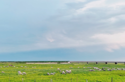 赤峰全瓷牙團(tuán)購(gòu)電話號(hào)碼查詢