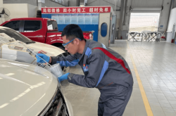 赤峰迪美寵物店電話地址查詢