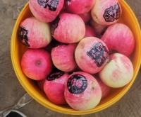 赤峰寧城塑料箱廠家電話號(hào)碼