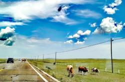 赤峰達康服裝店電話地址查詢