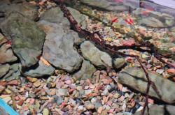 赤峰天虹水族館地址電話號(hào)碼