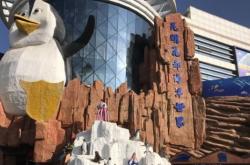 赤峰龍騰夢(mèng)幻海洋館電話號(hào)碼