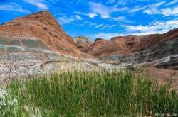 赤峰市地質(zhì)二中電話