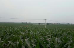 內(nèi)蒙古赤峰乃林小學(xué)電話是多少