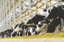 赤峰環(huán)保人工草坪廠家電話號碼