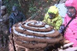 赤峰土蜂養(yǎng)殖基地電話號(hào)碼查詢