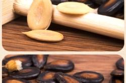 赤峰市批發(fā)西瓜子電話號碼