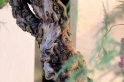 赤峰全季花藝招聘電話地址查詢