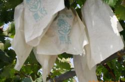 赤峰紙袋加工廠家地址電話號(hào)碼