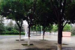 赤峰二中送考老師電話號(hào)碼