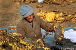 赤峰四家子鎮(zhèn)市場(chǎng)電話號(hào)碼