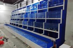 赤峰海鮮缸制作廠(chǎng)家電話(huà)號(hào)碼