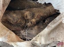 赤峰毛蹄批發(fā)市場電話號碼