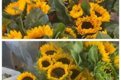 赤峰新天地鮮花批發(fā)電話號碼