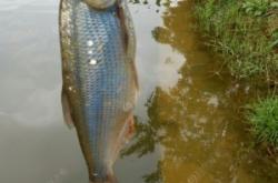 赤峰橋北釣魚釣場地址電話號碼