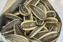 赤峰張廣明瓜子店地址電話號碼