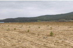 赤峰新華旱冰場電話號碼多少