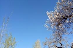 赤峰牛營子農(nóng)家院電話號(hào)碼