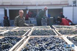 赤峰收葡萄酒電話號(hào)碼多少