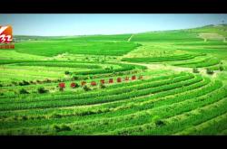 赤峰紅山區(qū)旱冰場電話號碼