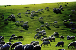 赤峰云銅化工廠電話號碼