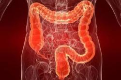 赤峰市脊椎醫(yī)院電話號碼是多少