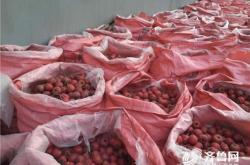 赤峰山楂種植基地電話號(hào)碼查詢