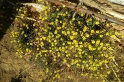 赤峰寧城鄉(xiāng)下大院電話號(hào)碼是多少