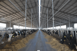 赤峰市勇敢牧場電話號碼查詢