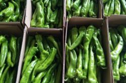 赤峰蔬菜批發(fā)店電話號(hào)碼多少