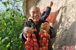 赤峰賣黑豆油的電話號碼是多少