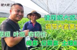 赤峰大肥二肥廠地址電話號(hào)碼