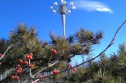 赤峰紅山區(qū)金頂社區(qū)電話號(hào)碼