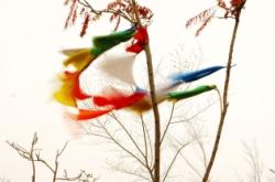 赤峰到道谷南山拼車電話號(hào)碼