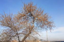 赤峰市寧城縣電站電話號(hào)碼