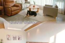 赤峰市寵物友好民宿電話號(hào)碼