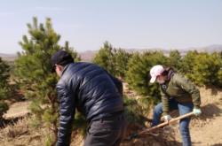 赤峰松山區(qū)汽車救援電話