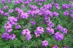 赤峰市喀喇沁鄉(xiāng)鎮(zhèn)電話是多少