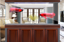 赤峰同城賣觀賞魚電話地址查詢