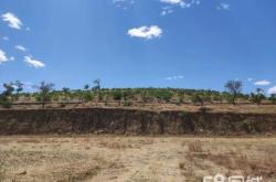 赤峰當鋪地平房出租電話號碼