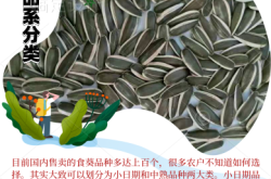 赤峰食葵種業(yè)招聘信息電話號碼