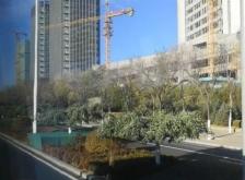 赤峰大板檢車電話地址是多少號(hào)