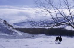 赤峰蒙遠(yuǎn)磚廠簡介電話號碼查詢