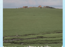 赤峰四中附近大飯店電話(huà)號(hào)碼