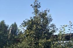 赤峰寧城燈飾廠電話號(hào)碼多少